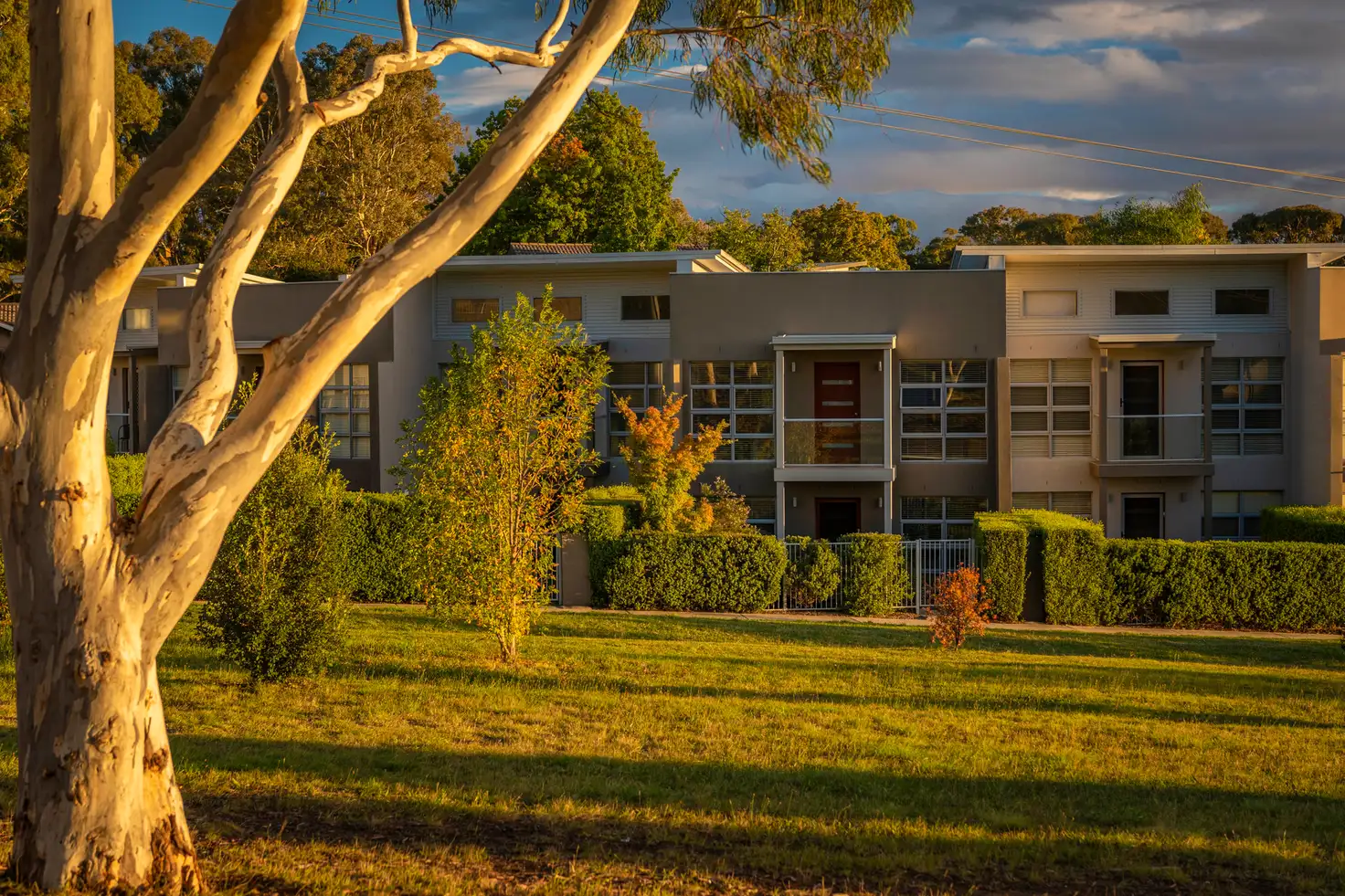 Main view of Homely townhouse listing, 5/20 Power Street, Mawson ACT 2607
