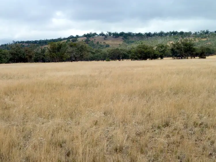 Main view of Homely rural property listing, CA 85 & 86 Boort-Wedderburn Road, Wedderburn VIC 3518