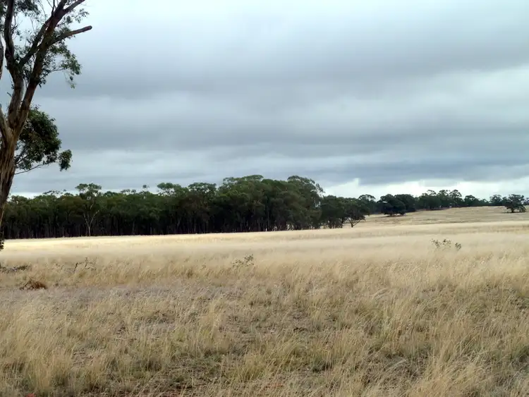 Third view of Homely rural property listing, CA 85 & 86 Boort-Wedderburn Road, Wedderburn VIC 3518
