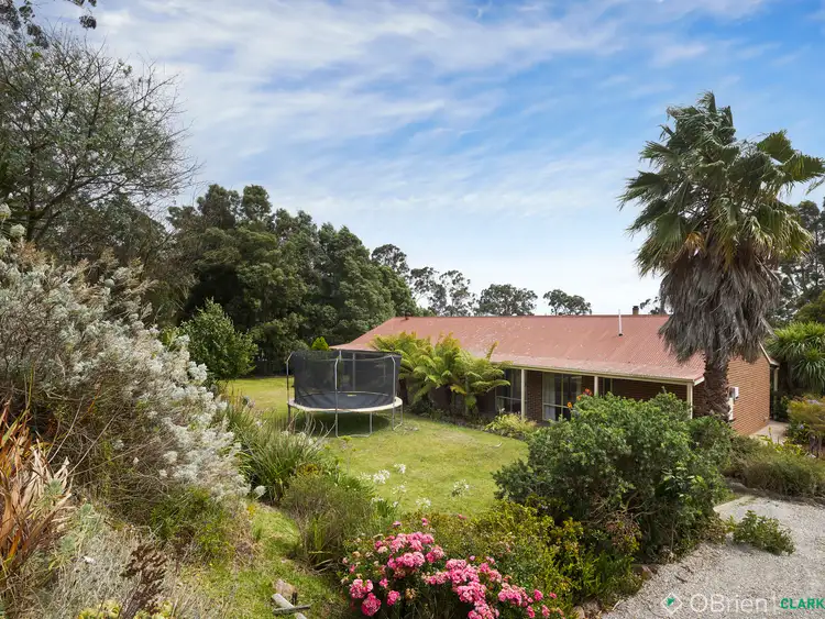 Second view of Homely rural property listing, 10 Sand Pit Road, Yarragon VIC 3823