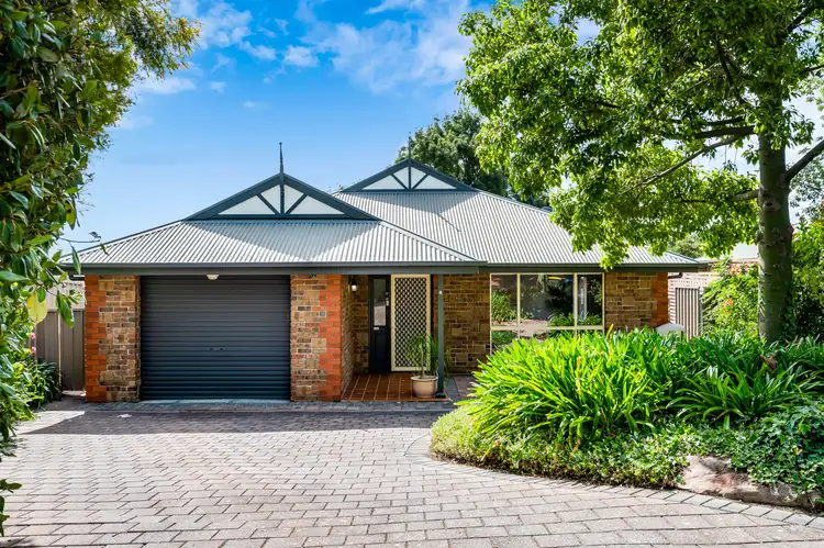 Main view of Homely house listing, 6 Dolling Court, Athelstone SA 5076