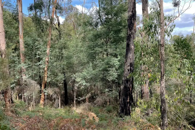 Main view of Homely land listing, 47 Warringah Drive, Chum Creek VIC 3777