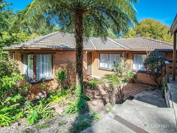 36 Blackwood Street, Tecoma VIC 3160