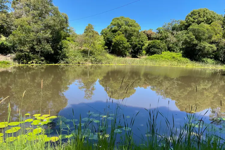 Third view of Homely house listing, 59 Tallowood Road, Nimbin NSW 2480