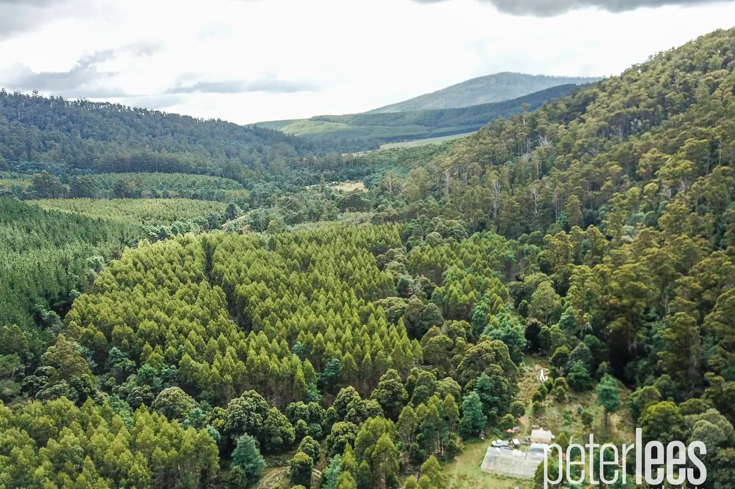 Main view of Homely land listing, 635 Nook Road, Nabowla TAS 7260