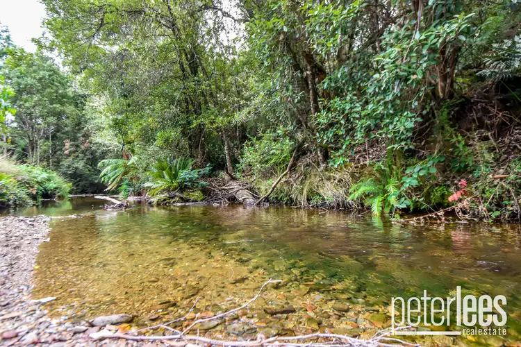 Fifth view of Homely land listing, 635 Nook Road, Nabowla TAS 7260