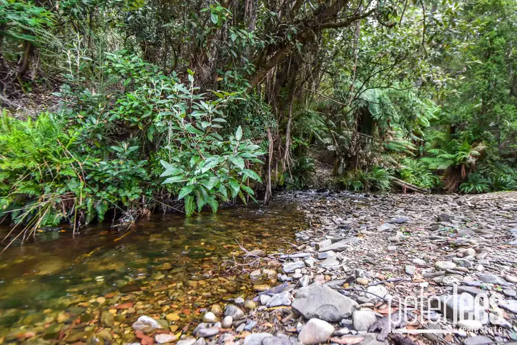 Sixth view of Homely land listing, 635 Nook Road, Nabowla TAS 7260