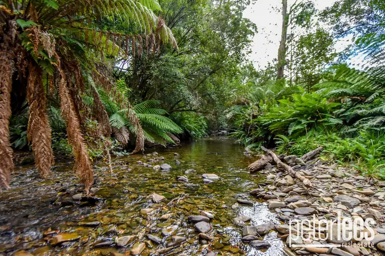 Seventh view of Homely land listing, 635 Nook Road, Nabowla TAS 7260