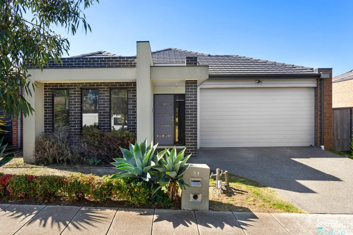 Main view of Homely house listing, 21 Whitelight Avenue, Epping VIC 3076