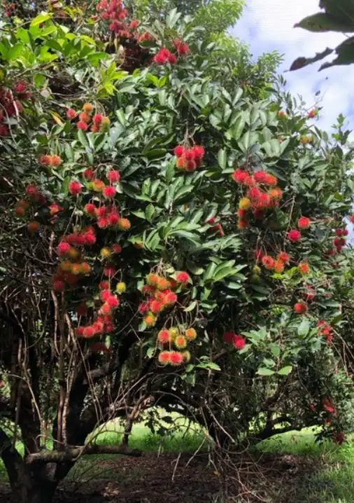 Main view of Homely rural property listing, Address available on request