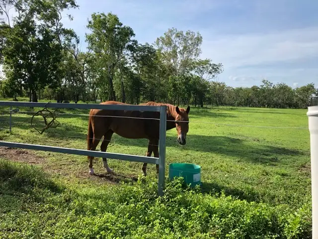 Fourth view of Homely rural property listing, Address available on request