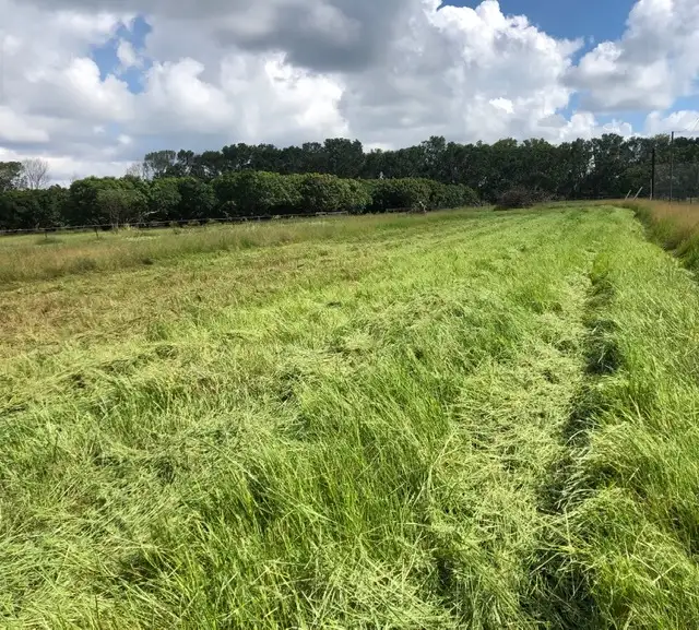 Sixth view of Homely rural property listing, Address available on request