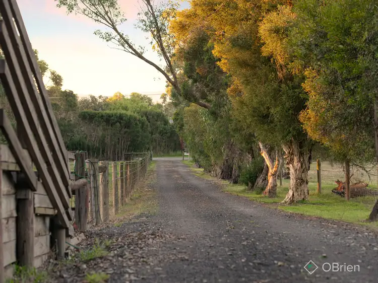 Second view of Homely house listing, 82 Wattletree Road, Bunyip VIC 3815