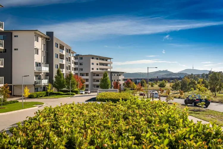 145/45 Catalano Street, Wright ACT 2611