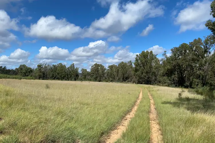 Sixth view of Homely rural property listing, 550 Cainbil Road, Mudgee NSW 2850