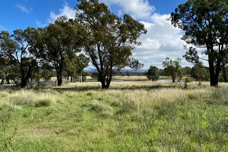 Seventh view of Homely rural property listing, 550 Cainbil Road, Mudgee NSW 2850