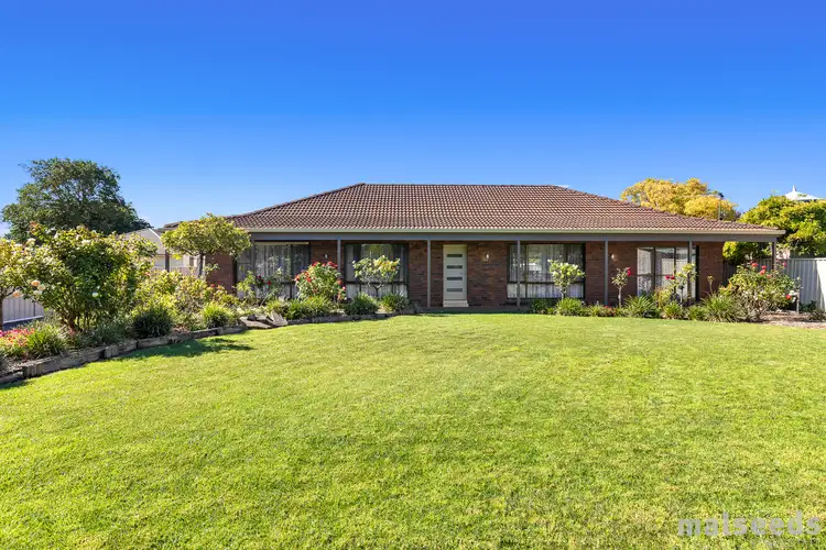 Main view of Homely house listing, 56 Williams Road, Millicent SA 5280