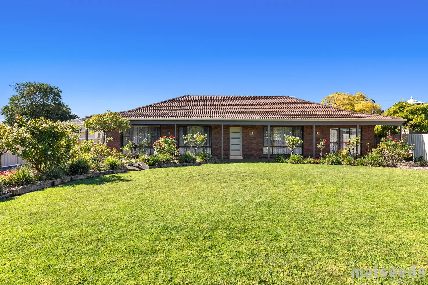 Main view of Homely house listing, 56 Williams Road, Millicent SA 5280