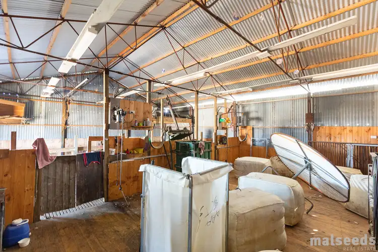 Fifth view of Homely house listing, 134 Beaton Road, Tantanoola SA 5280
