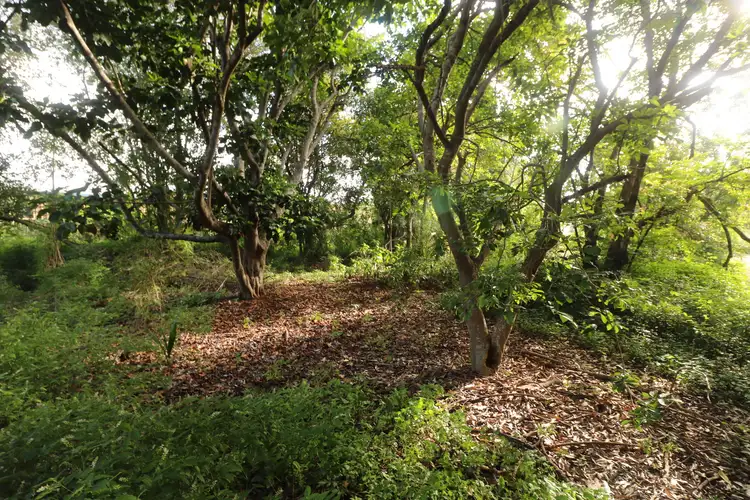 Fourth view of Homely land listing, LOT 22 Lord Street, Childers QLD 4660