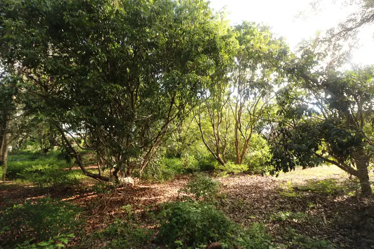 Fifth view of Homely land listing, LOT 22 Lord Street, Childers QLD 4660