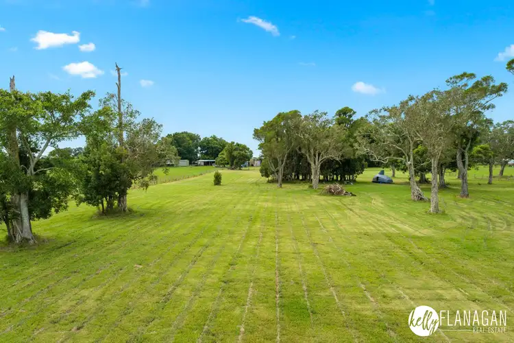 Third view of Homely rural property listing, 342 Belmore River Left Bank Road, Belmore River NSW 2440