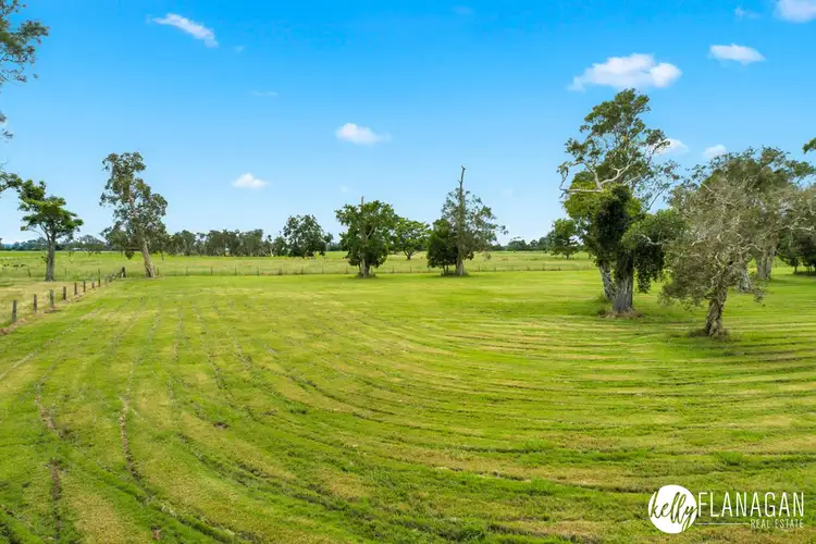 Fourth view of Homely rural property listing, 342 Belmore River Left Bank Road, Belmore River NSW 2440