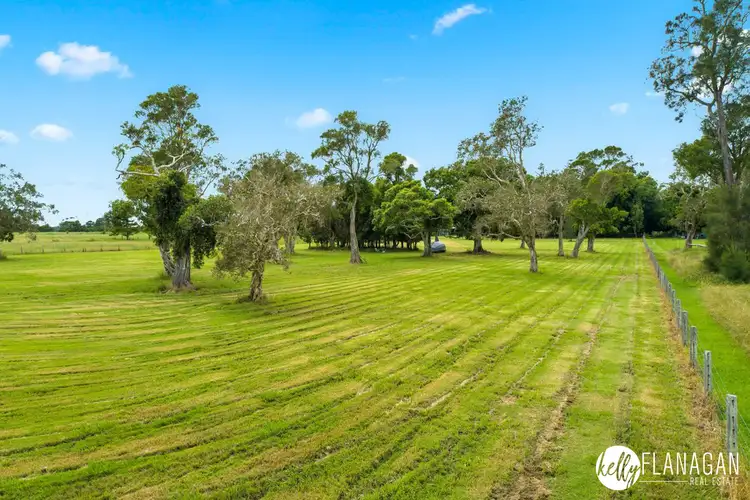 Fifth view of Homely rural property listing, 342 Belmore River Left Bank Road, Belmore River NSW 2440