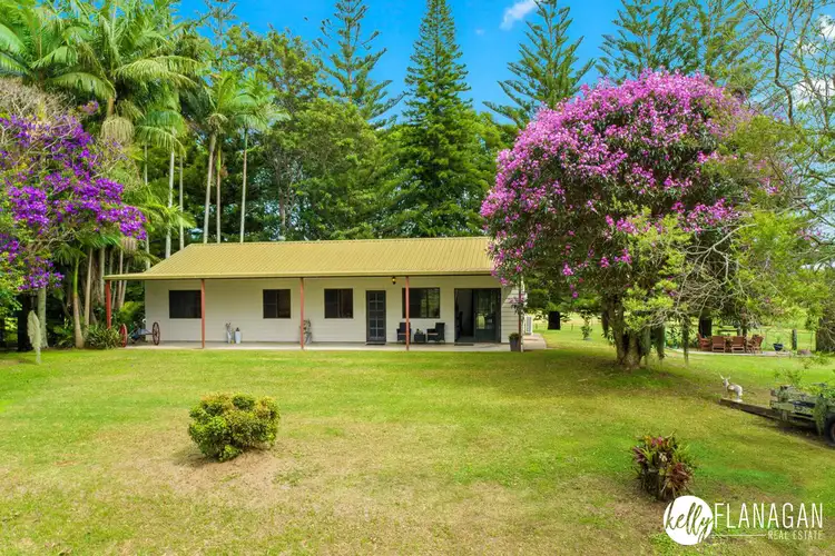 Seventh view of Homely rural property listing, 342 Belmore River Left Bank Road, Belmore River NSW 2440