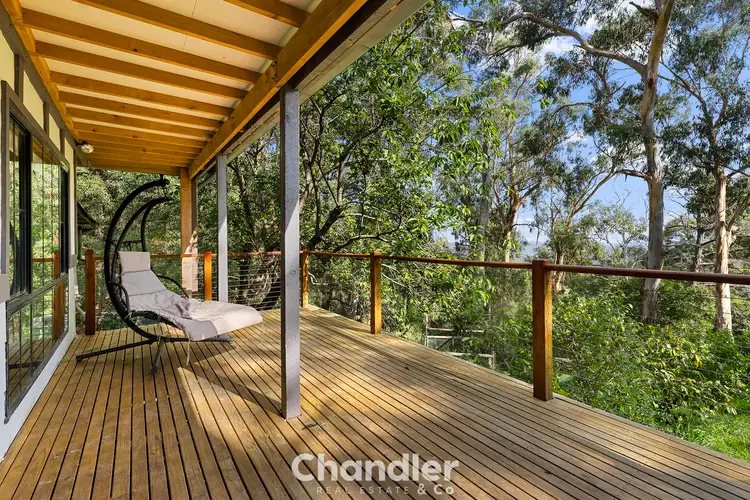 Fifth view of Homely house listing, 23 Terrys Avenue, Belgrave VIC 3160