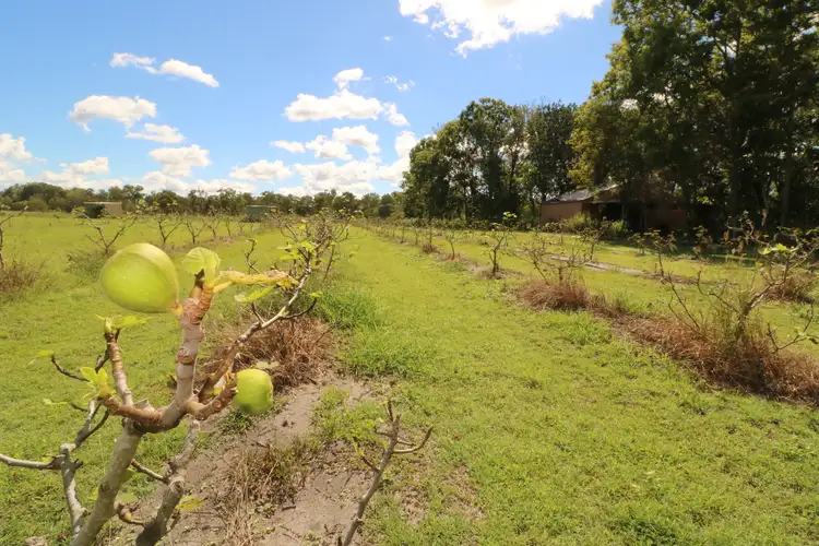 Fourth view of Homely house listing, 137 Woodgate Road, Goodwood QLD 4660