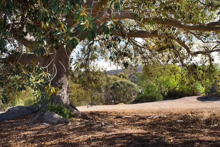 Fifth view of Homely land listing, 12 Phoenix Street, Maldon VIC 3463