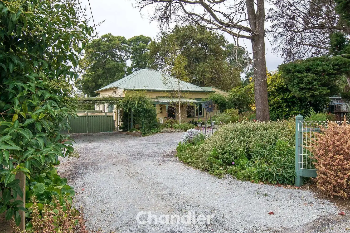 Main view of Homely house listing, 49-51 David Hill Road, Monbulk VIC 3793
