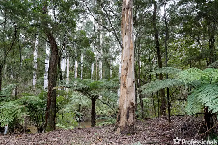 Fifth view of Homely land listing, 25 Armitage Avenue, East Warburton VIC 3799