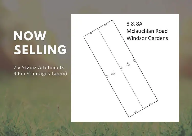 8 McLauchlin Avenue, Windsor Gardens SA 5087