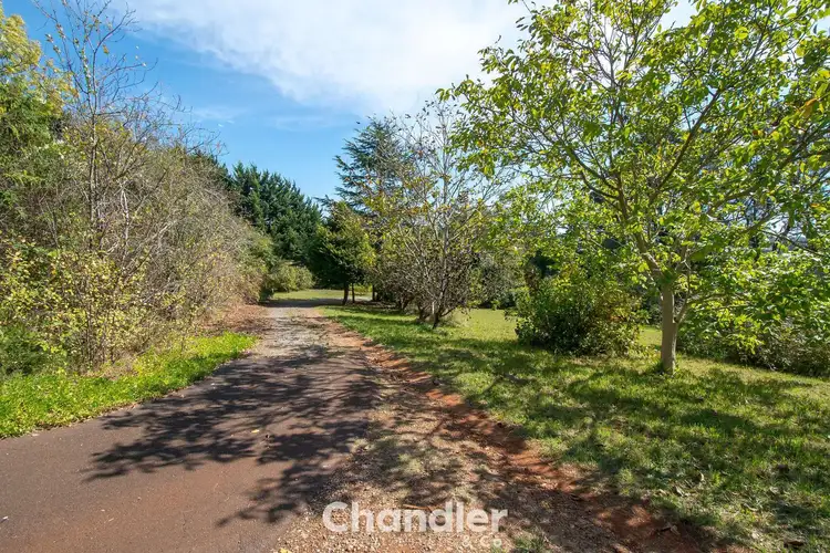 Second view of Homely house listing, 130 Macclesfield Road, Monbulk VIC 3793