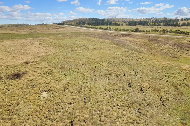 Fifth view of Homely rural property listing, 2189 Monaro Highway, Cooma NSW 2630