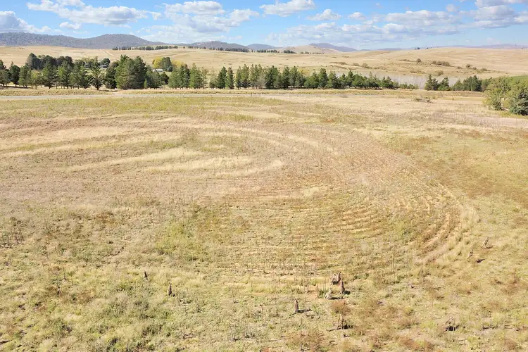 Sixth view of Homely rural property listing, 2189 Monaro Highway, Cooma NSW 2630