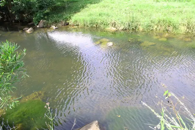 Seventh view of Homely rural property listing, 309 Henson Road, Wyrallah NSW 2480