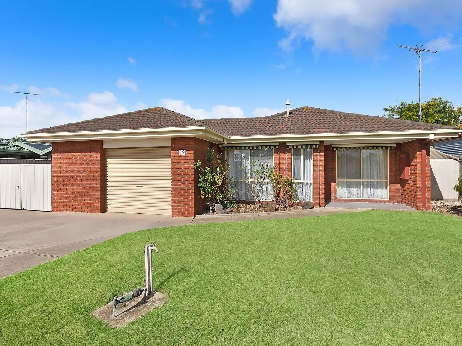 Main view of Homely house listing, 19 Lino Court, Whittington VIC 3219
