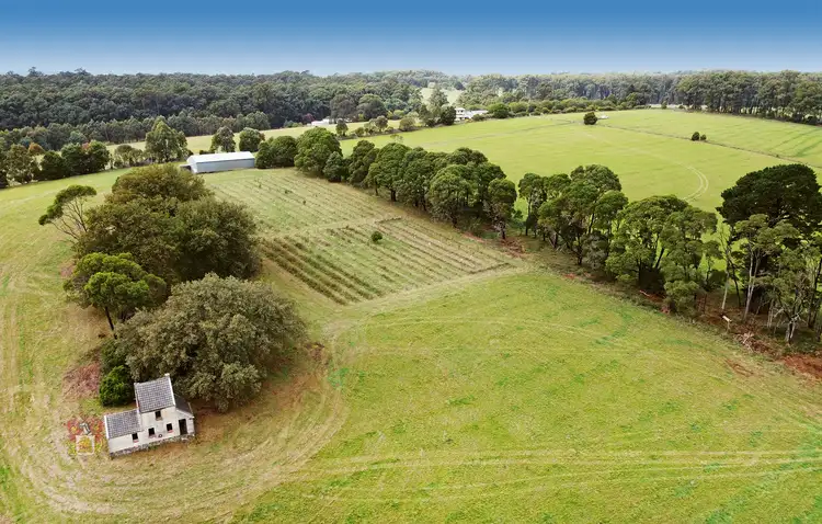 Third view of Homely rural property listing, 72 Johnsons Road, Kinglake Central VIC 3757