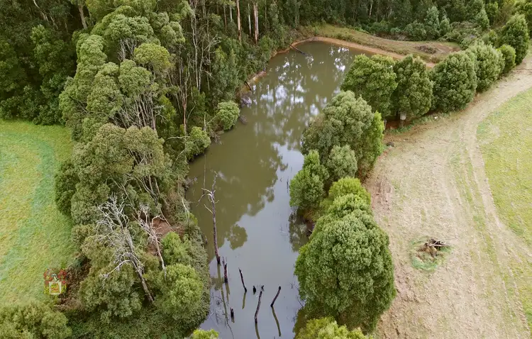 Sixth view of Homely rural property listing, 72 Johnsons Road, Kinglake Central VIC 3757