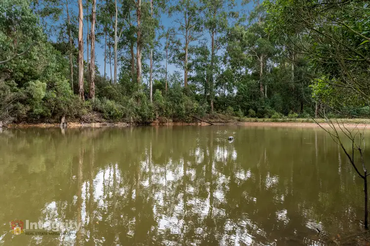 Seventh view of Homely rural property listing, 72 Johnsons Road, Kinglake Central VIC 3757