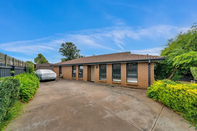 16 Springwood Avenue, Narre Warren VIC 3805