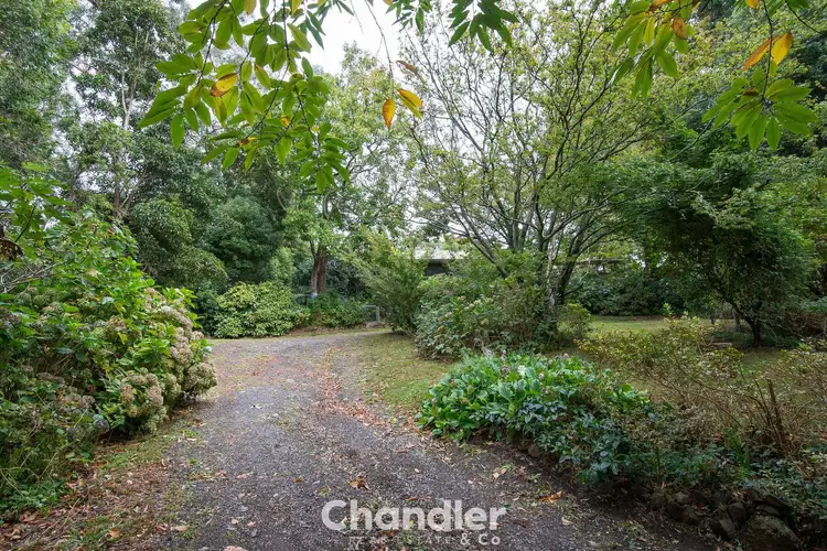 Second view of Homely house listing, 40 Seabreeze Avenue, Ferny Creek VIC 3786