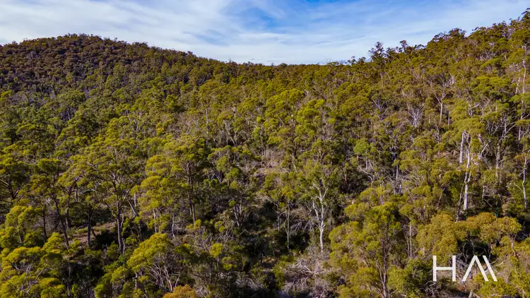 Fourth view of Homely land listing, 361 Distillery Track, Nunamara TAS 7259