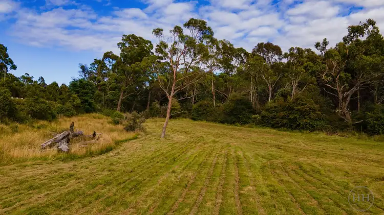 Fifth view of Homely land listing, 39080 Tasman Highway, Nunamara TAS 7259