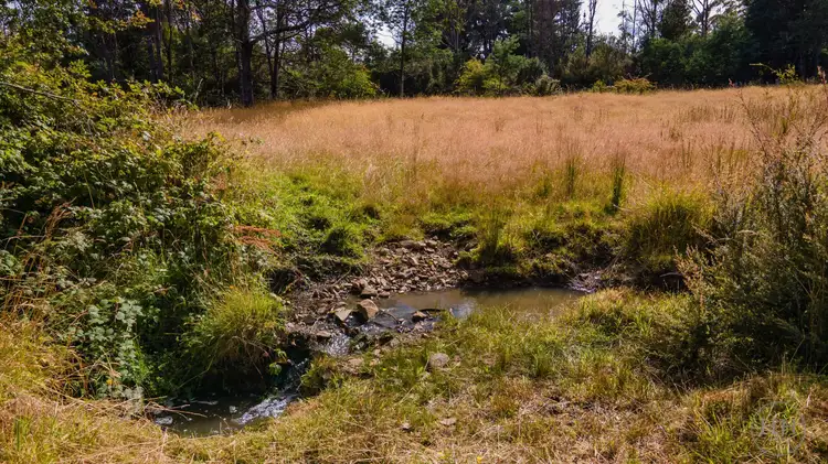 Sixth view of Homely land listing, 39080 Tasman Highway, Nunamara TAS 7259