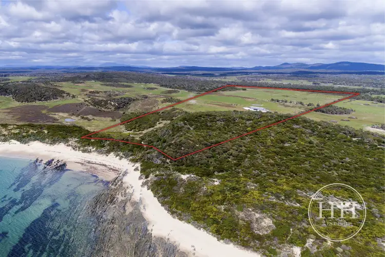991 Soldiers Settlement Road, Beechford TAS 7252
