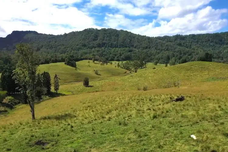 Fourth view of Homely rural property listing, 2430 Nimbin Road, Nimbin NSW 2480